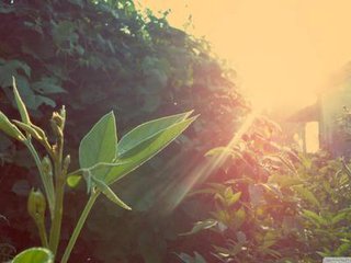 關(guān)于四棍卷板機的簡介